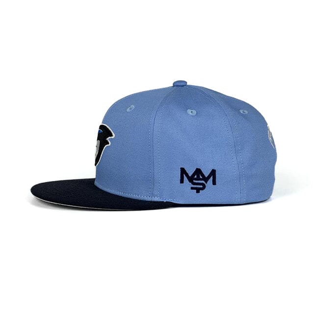 Fresh Jays - University Blue Snapback Cap