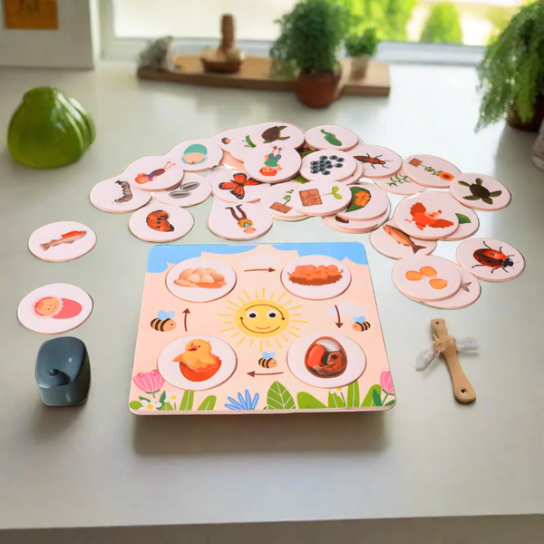 Growth Cycle Puzzle for Kids Age 3+