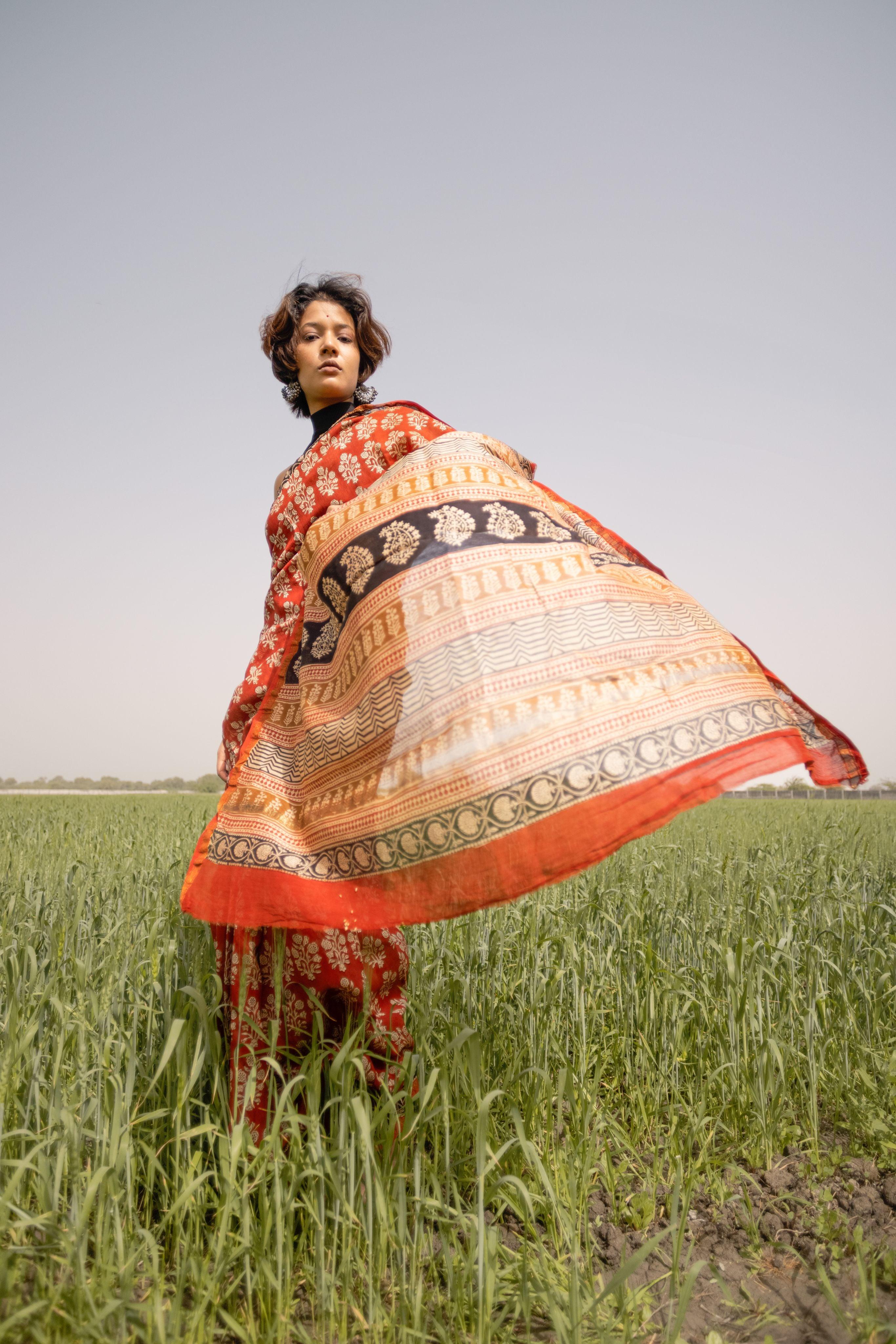 Roheda Mughal Syahi Begar Chanderi Saree