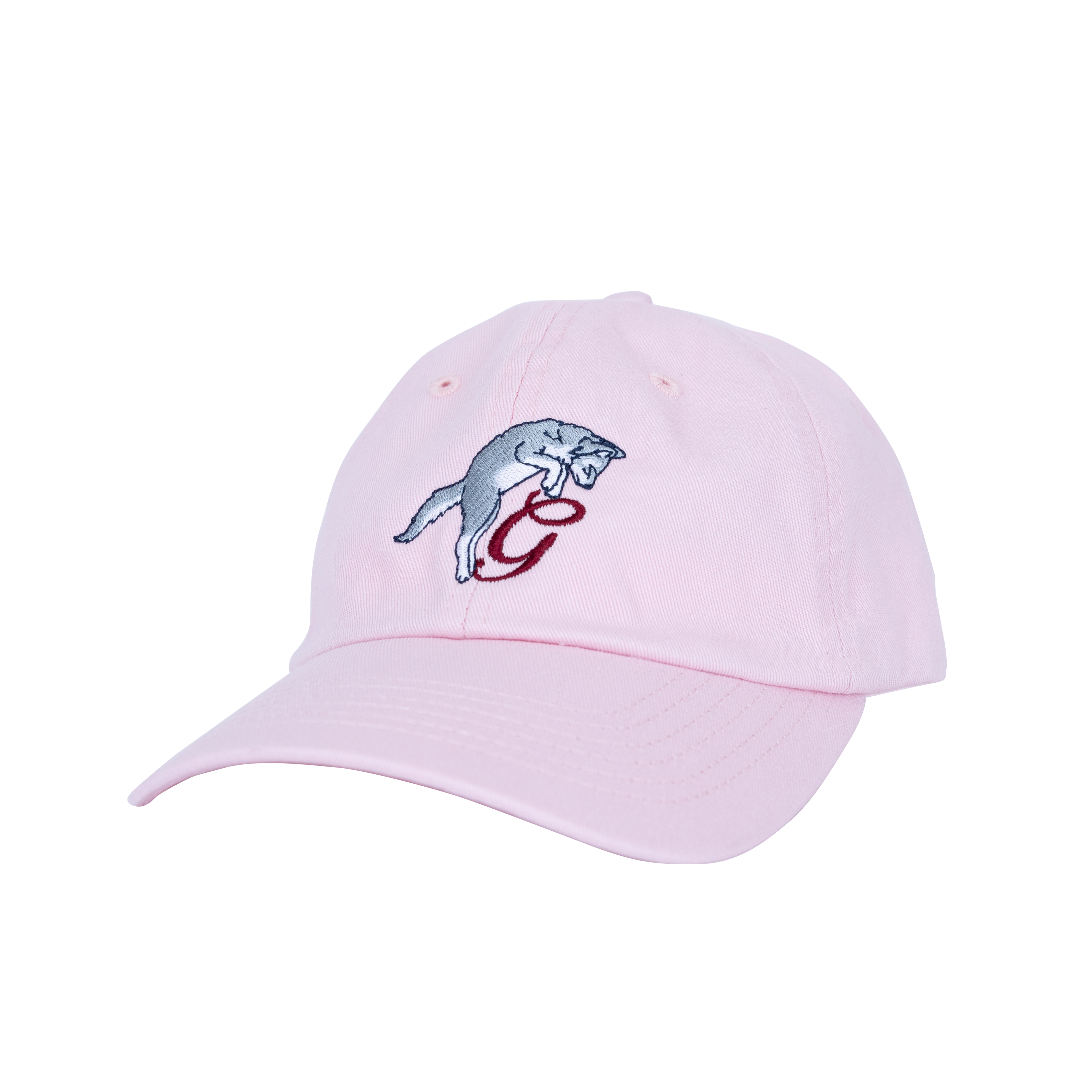 Youth Pounce G Hat